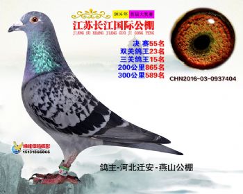 江苏长江决赛55名