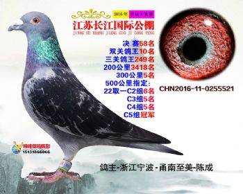 江苏长江决赛58名