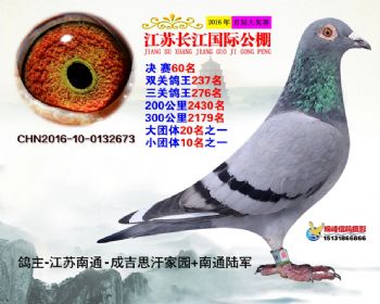江苏长江决赛60名