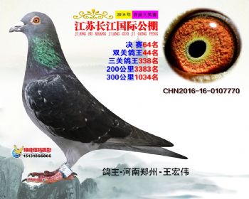 江苏长江决赛64名
