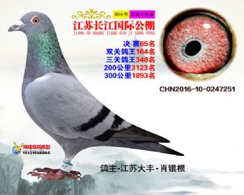 江苏长江决赛65名