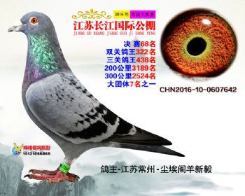 江苏长江决赛68名