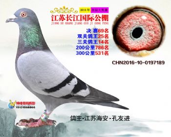 江苏长江决赛69名