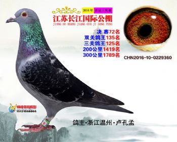 江苏长江决赛72名