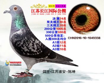 江苏长江决赛74名