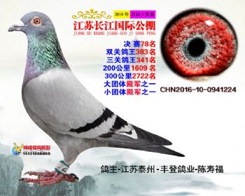 江苏长江决赛78名
