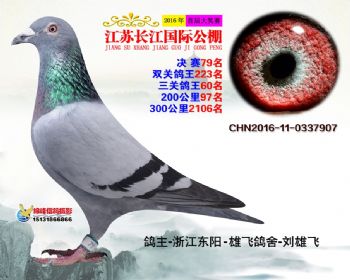 江苏长江决赛79名