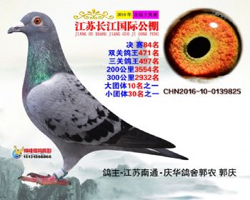 江苏长江决赛84名