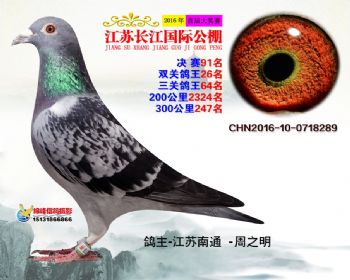 江苏长江决赛91名