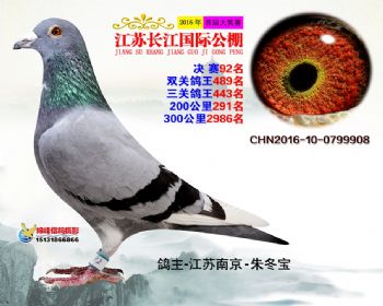 江苏长江决赛92名