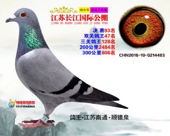 江苏长江决赛93名