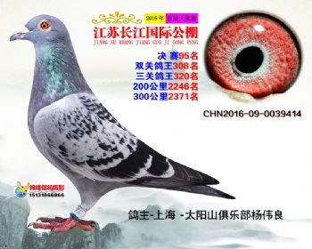 江苏长江决赛95名
