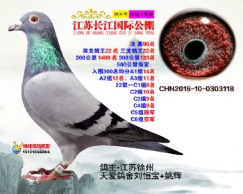 江苏长江决赛96名
