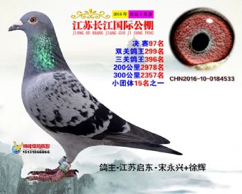 江苏长江决赛97名