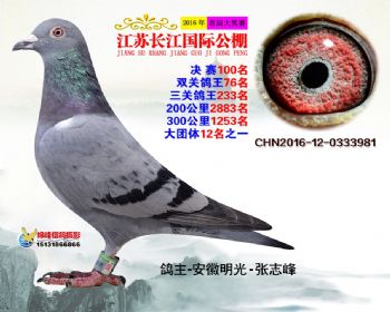 江苏长江决赛100名