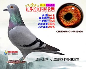 江苏长江决赛101名