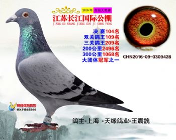 江苏长江决赛104名