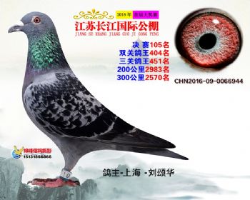 江苏长江决赛105名
