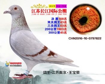江苏长江决赛108名