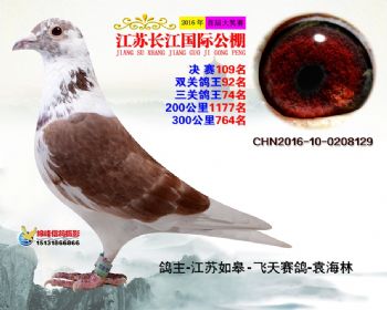 江苏长江决赛109名