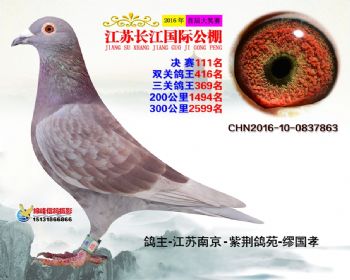 江苏长江决赛111名
