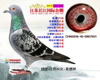江苏长江决赛113名