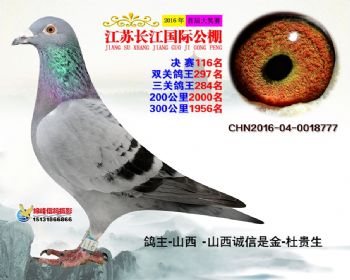 江苏长江决赛116名