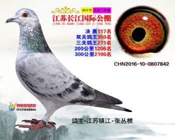 江苏长江决赛117名