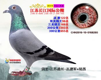 江苏长江决赛122名