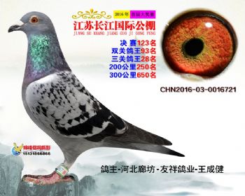 江苏长江决赛123名