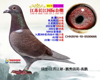 江苏长江决赛124名