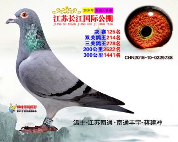 江苏长江决赛125名