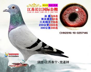 江苏长江决赛128名