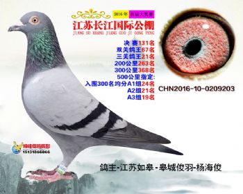江苏长江决赛131名
