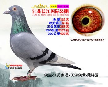 江苏长江决赛132名