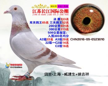 江苏长江决赛133名