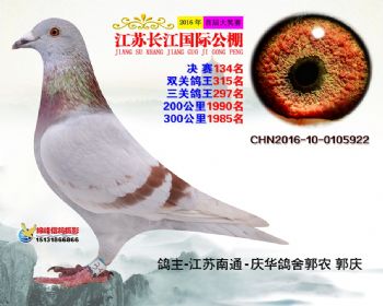 江苏长江决赛134名