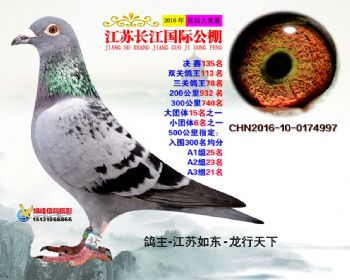 江苏长江决赛135名