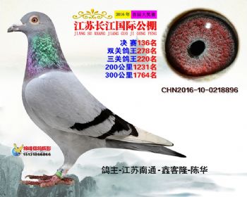 江苏长江决赛136名
