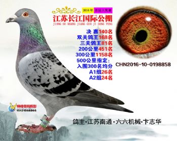 江苏长江决赛140名