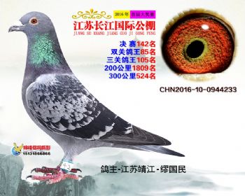 江苏长江决赛142名