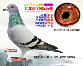 江苏长江决赛143名