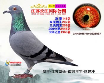 江苏长江决赛145名
