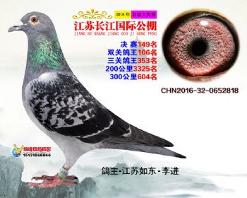 江苏长江决赛149名