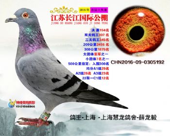 江苏长江决赛154名