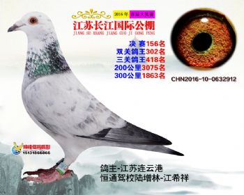 江苏长江决赛156名