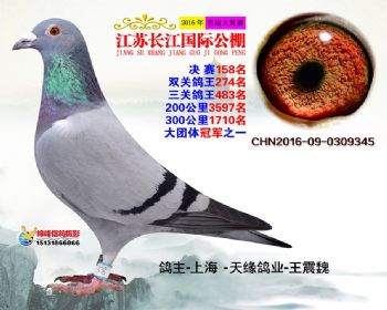 江苏长江决赛158名