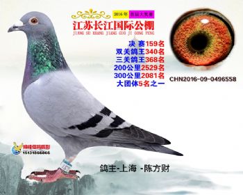 江苏长江决赛159名
