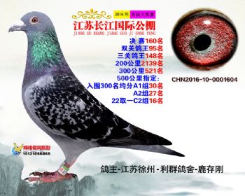 江苏长江决赛160名