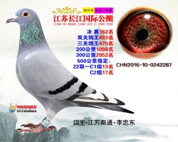 江苏长江决赛162名